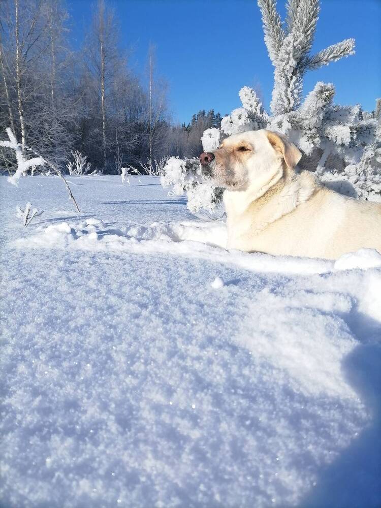 Photograph by Андрей Трякин