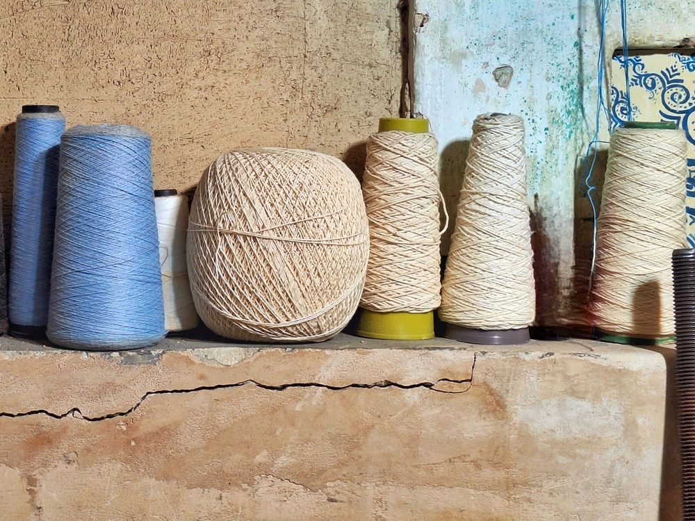 Photograph by Zahra akbari
