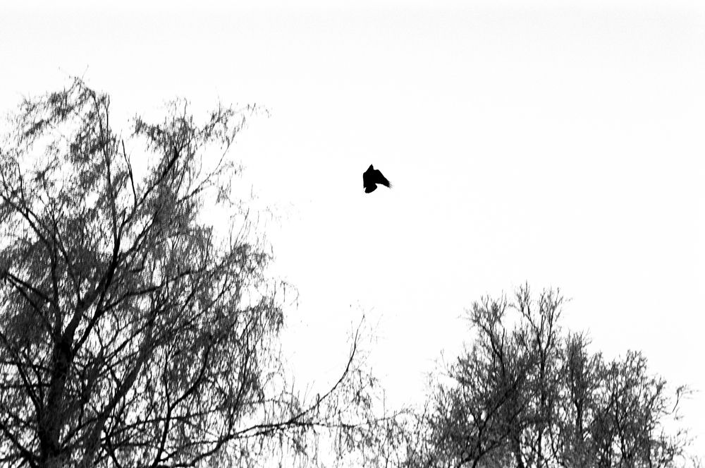 Фотография автора Александра Яковлева