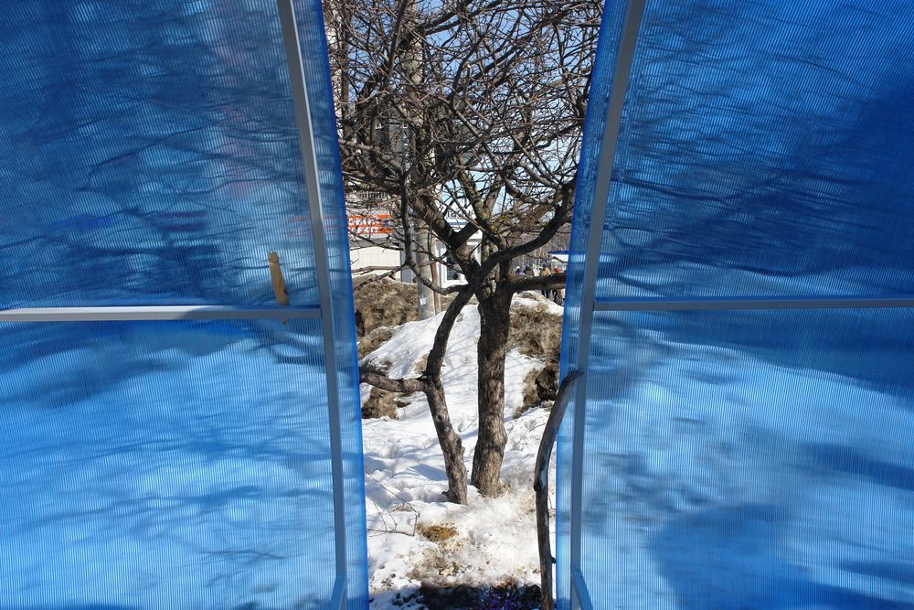 Photograph by Измаил Ефимов