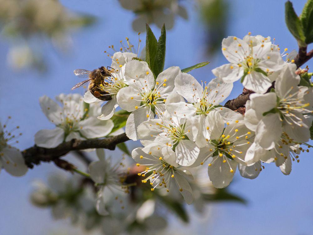 Фотография автора Борис Журавлёв