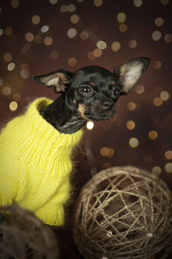 Photograph by Мария Лавриненко