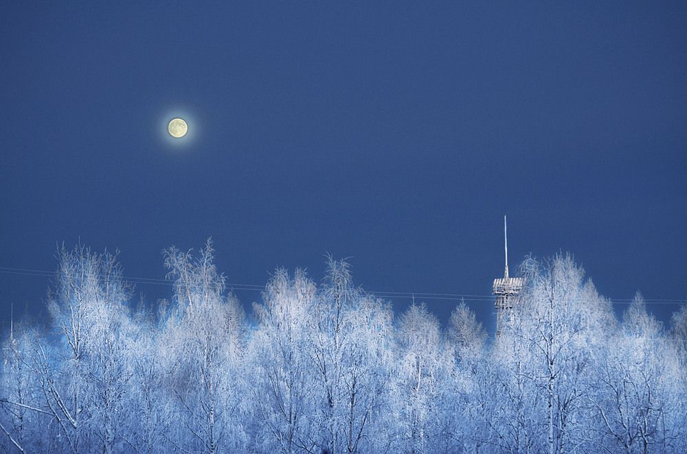 Photograph by Соколова Елена