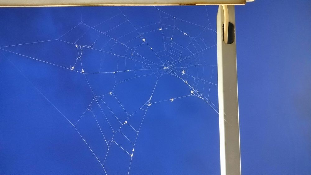 Photograph by Анастасия Горбачева