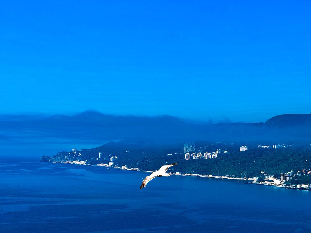 Photograph by Марина Черникова