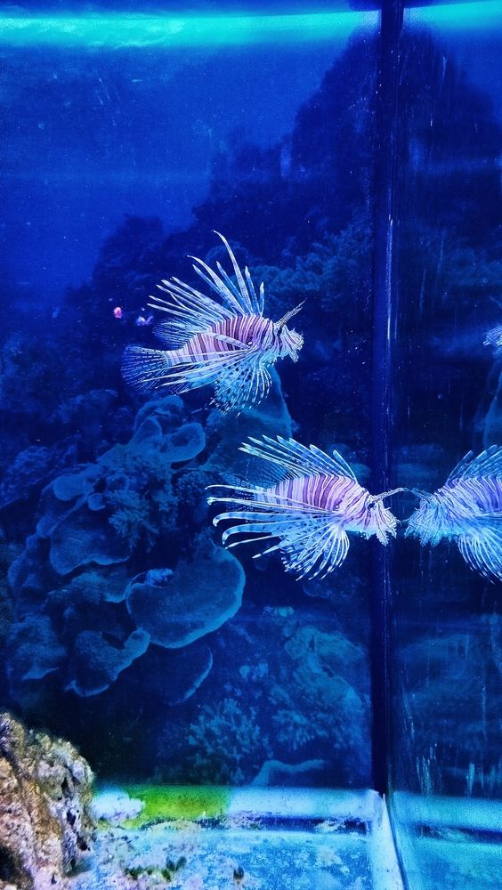 Photograph by Анастасия Горбачева