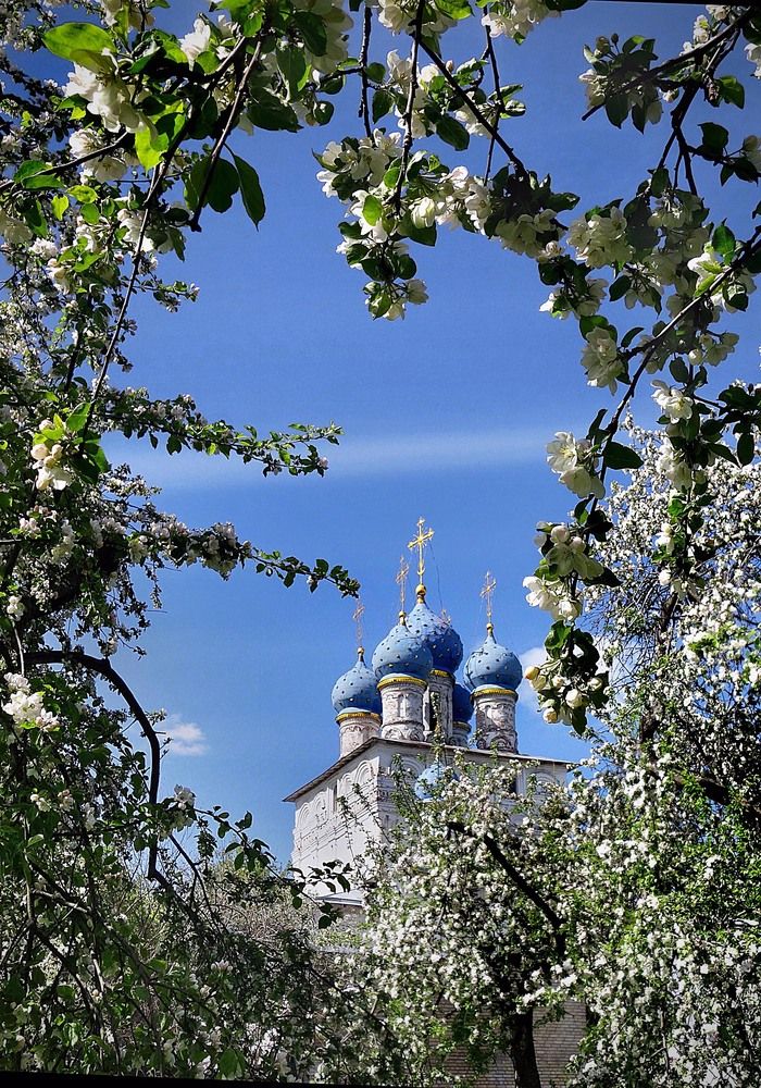 Photograph by Жучков Никита