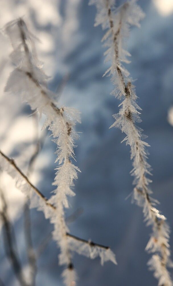 Photograph by Анна Чадова
