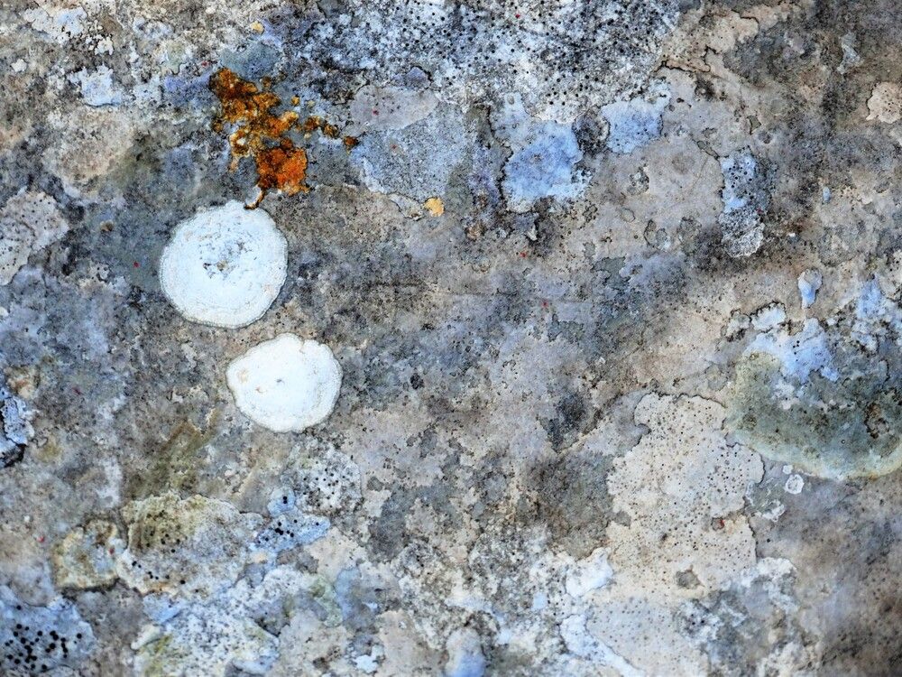 Trčanje po oblacima