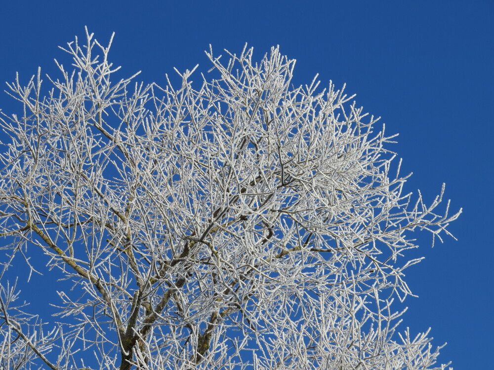 Photograph by Лариса Басова