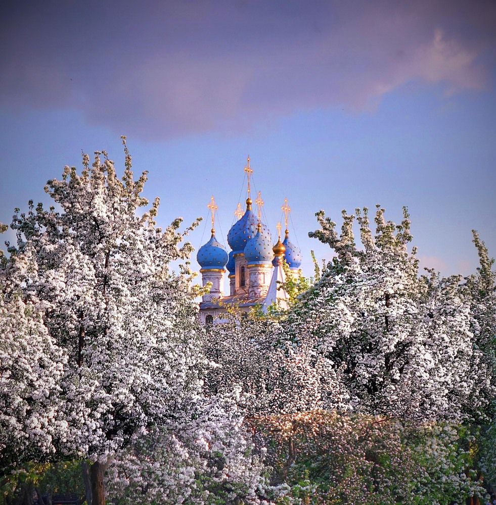 Photograph by Жучков Никита