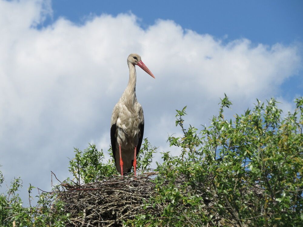 Photograph by Лариса Басова