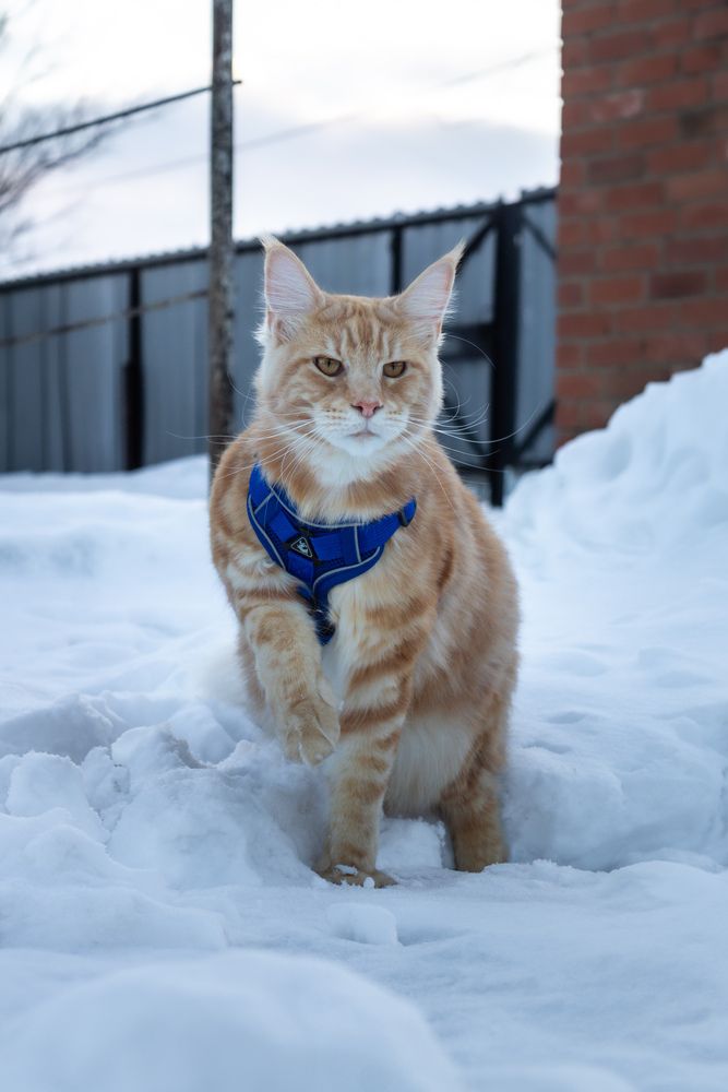 Photograph by Кристина Бакаева