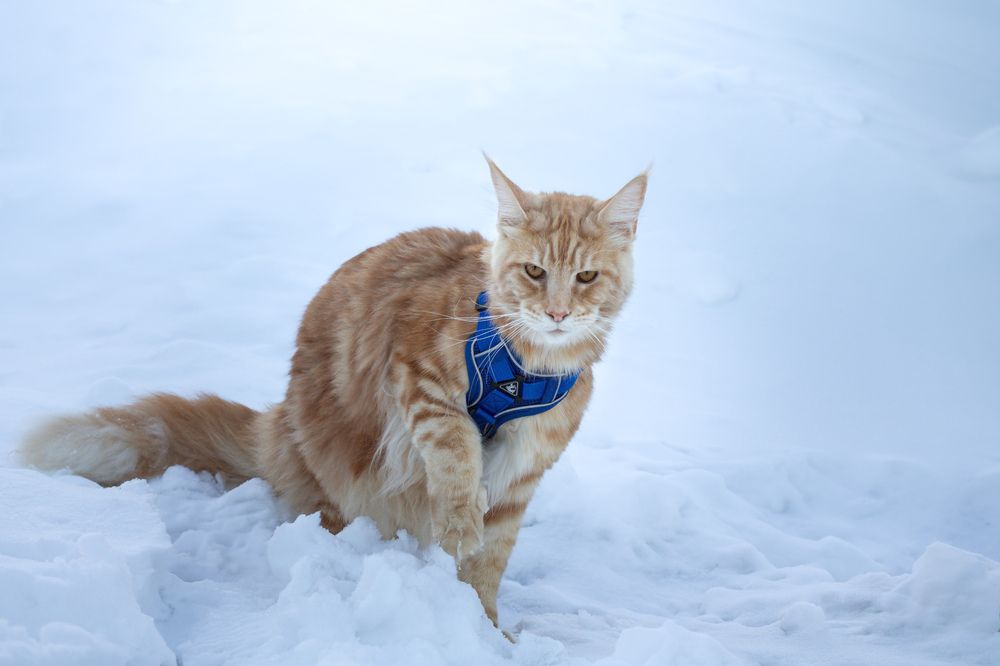 Photograph by Кристина Бакаева