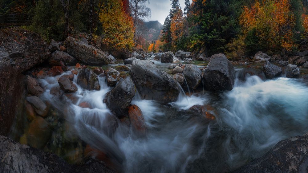 Photograph by david Navia