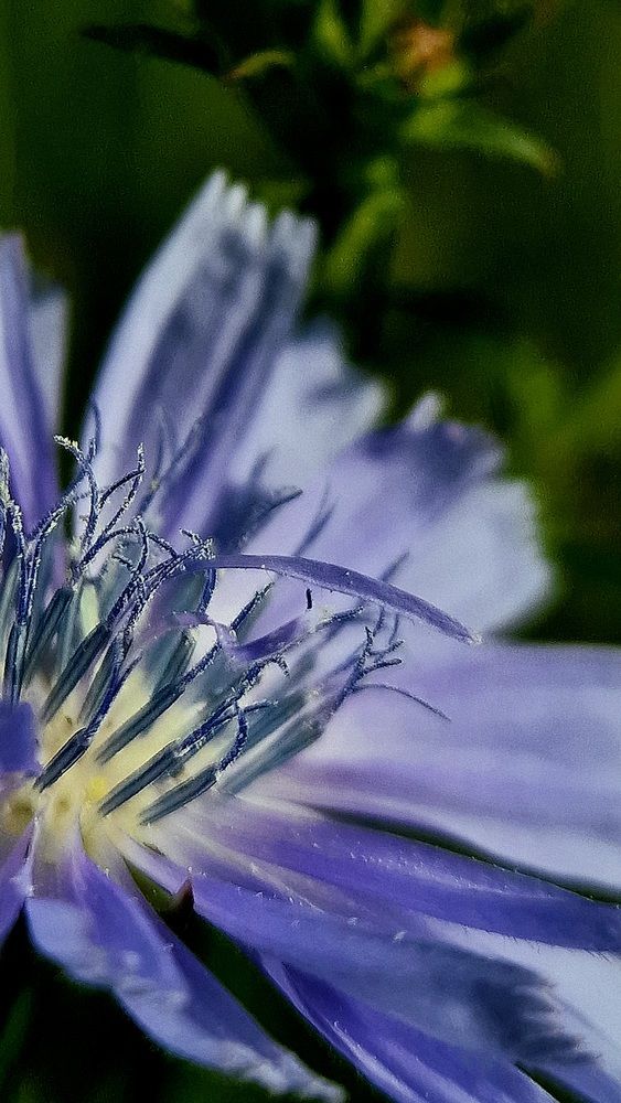 Photograph by Дарья Агапова