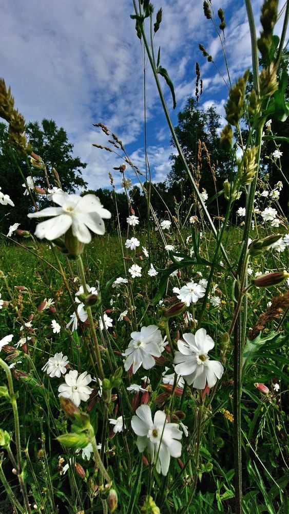Photograph by Дарья Агапова