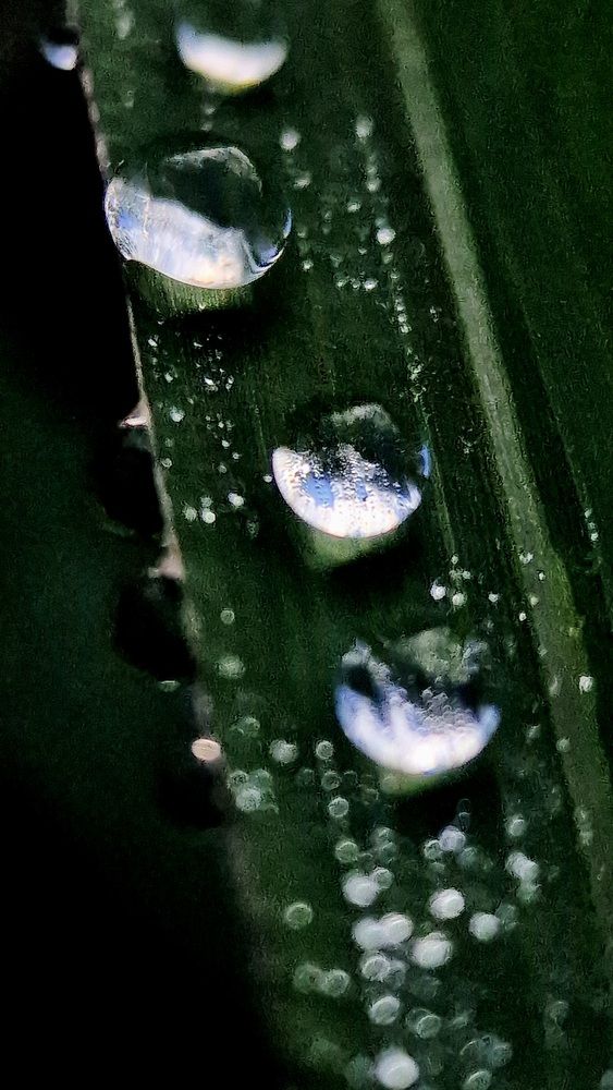 Photograph by Дарья Агапова