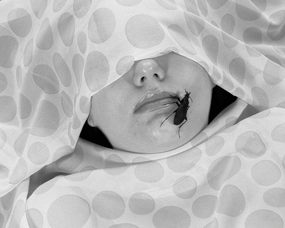 Фотография автора Eimar Kull