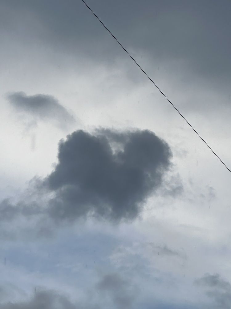 Photograph by Анастасия Лукьянюк