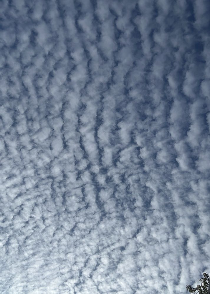 Photograph by Анастасия Лукьянюк