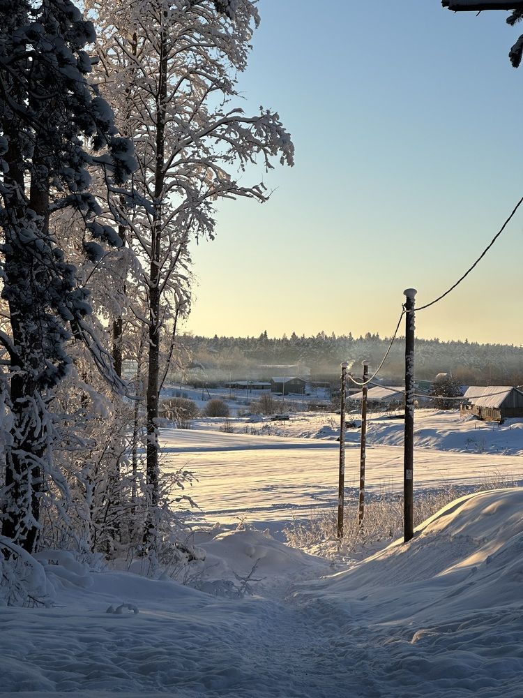 Photograph by Анастасия Лукьянюк