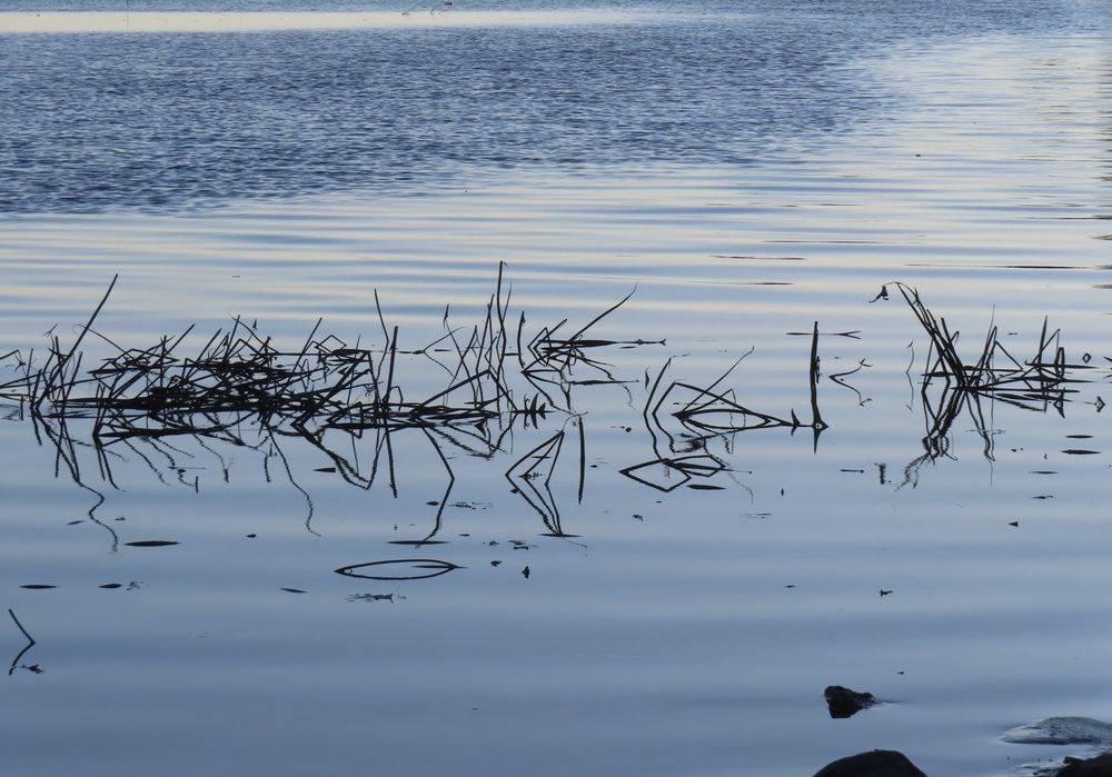 Photograph by Елена Жукова