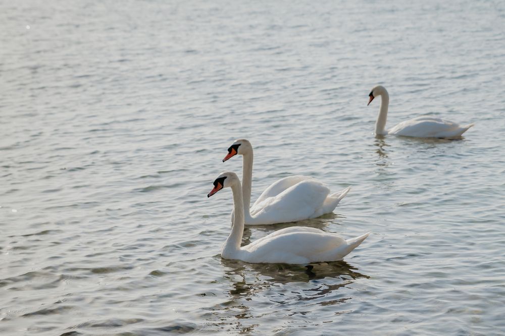 Photograph by Екатерина Рябинина