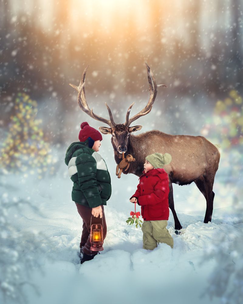 Children catch the Reindeer