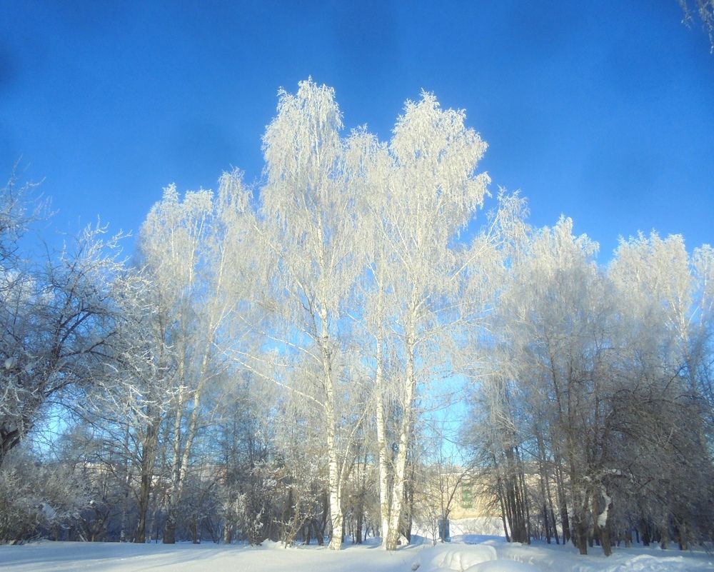 Photograph by Лилия Исхакова