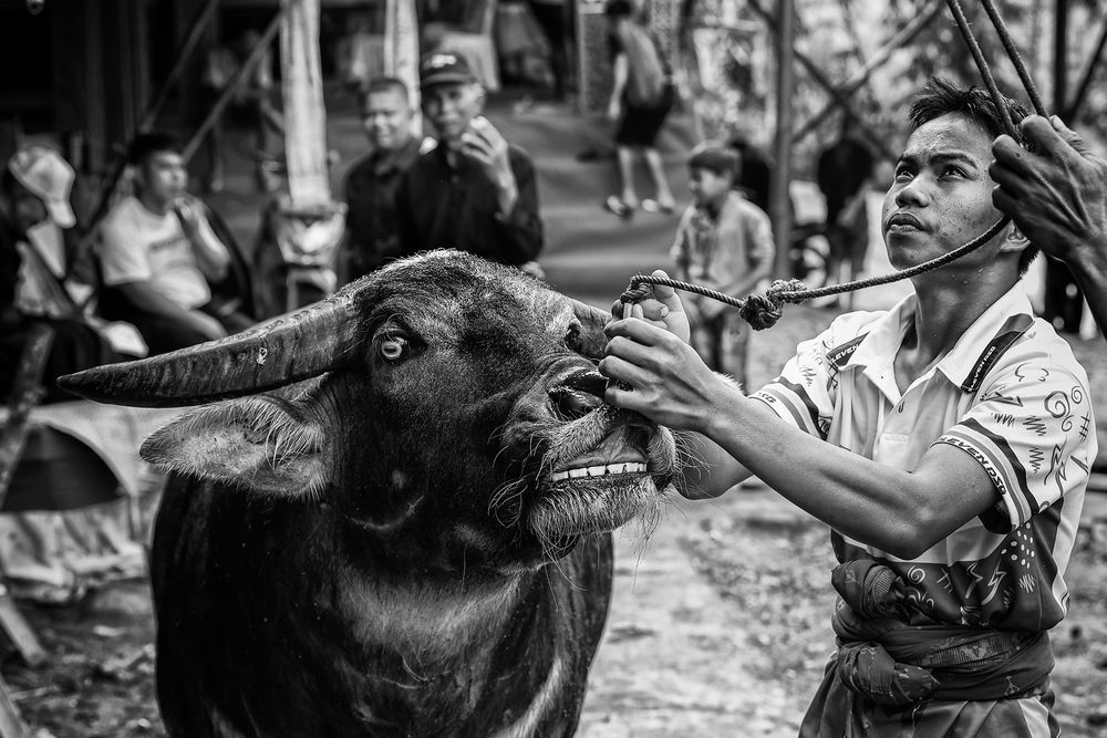 Photograph by Jurica Galic