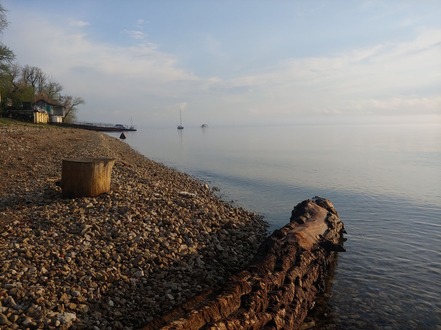 Photo #12972582