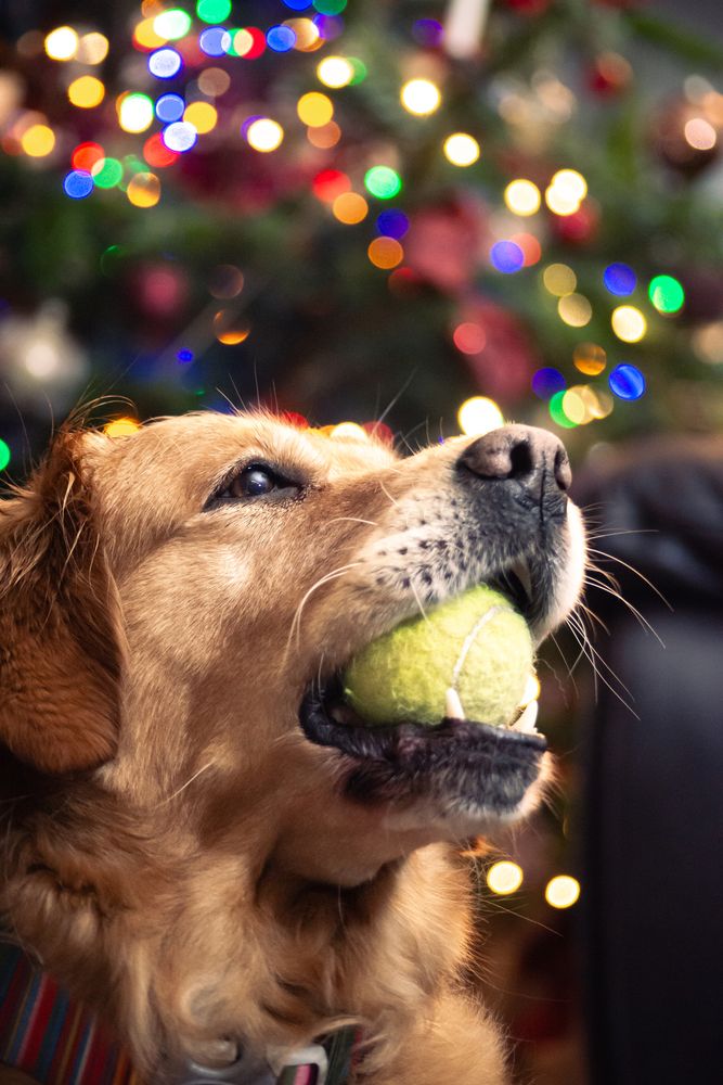 Photograph by Marcin Bochenek