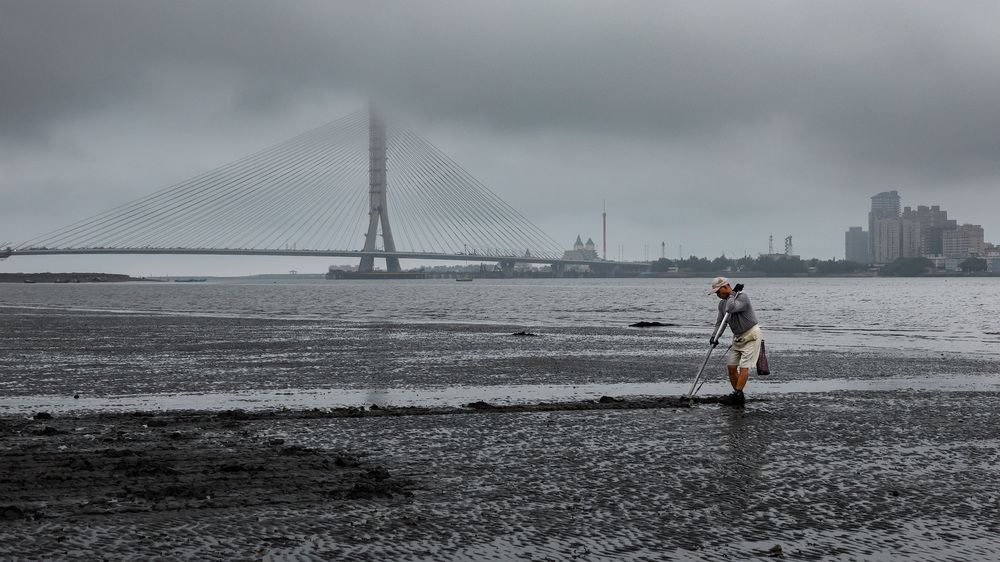 Life Under the Giant