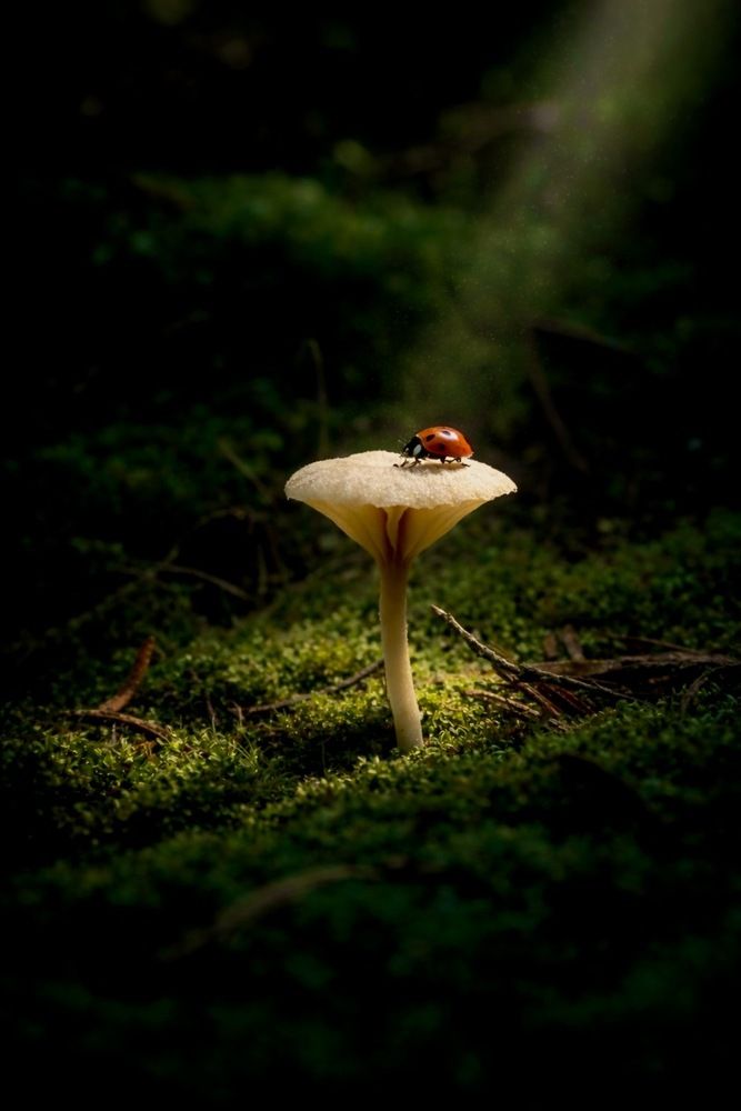 Photograph by Elena Istomina