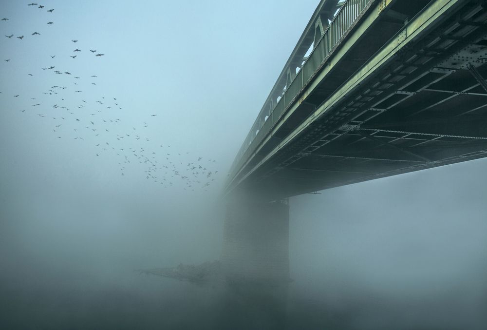 Photograph by Višeslav Berić