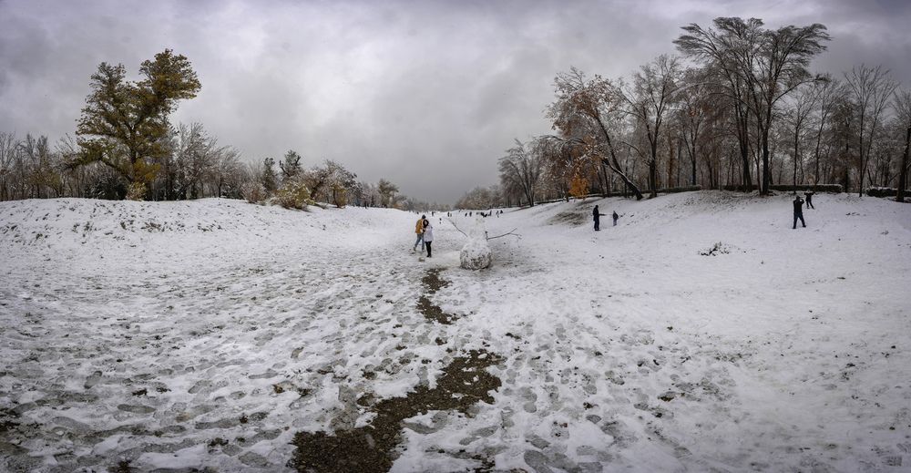 Snowman in najvan.