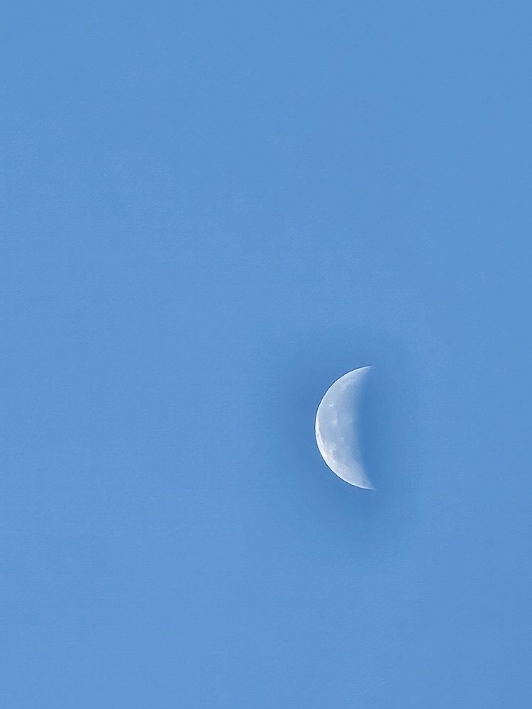 Photograph by Елена Ибрагимова