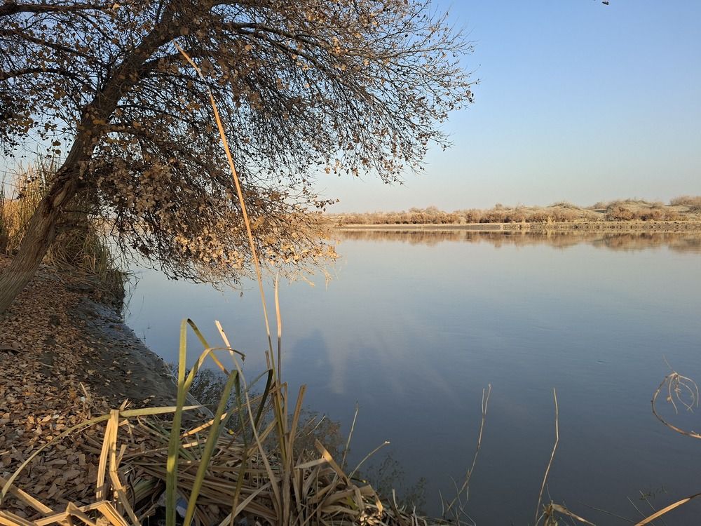Photo #12972793