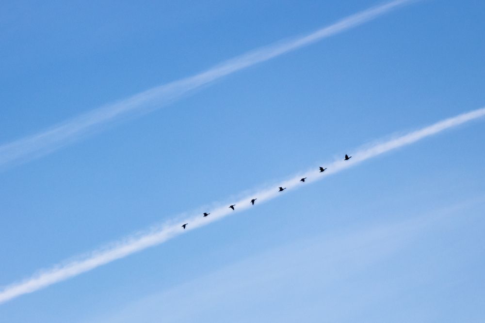 Photograph by Татьяна Романова