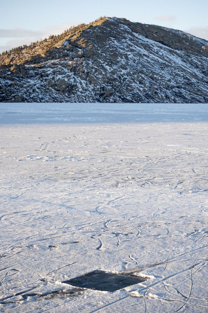 Photograph by Polina Latypova