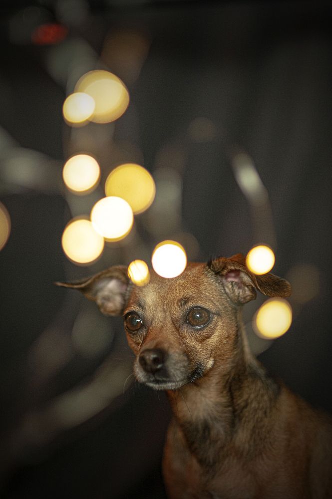 Photograph by Мария Лавриненко