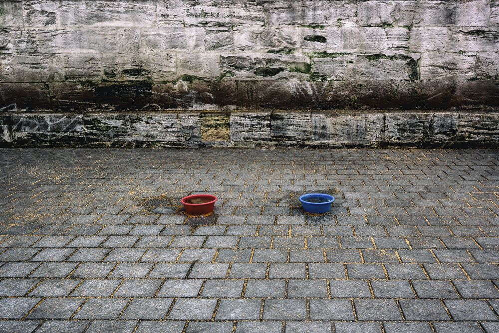 Photograph by Hayrullah METE