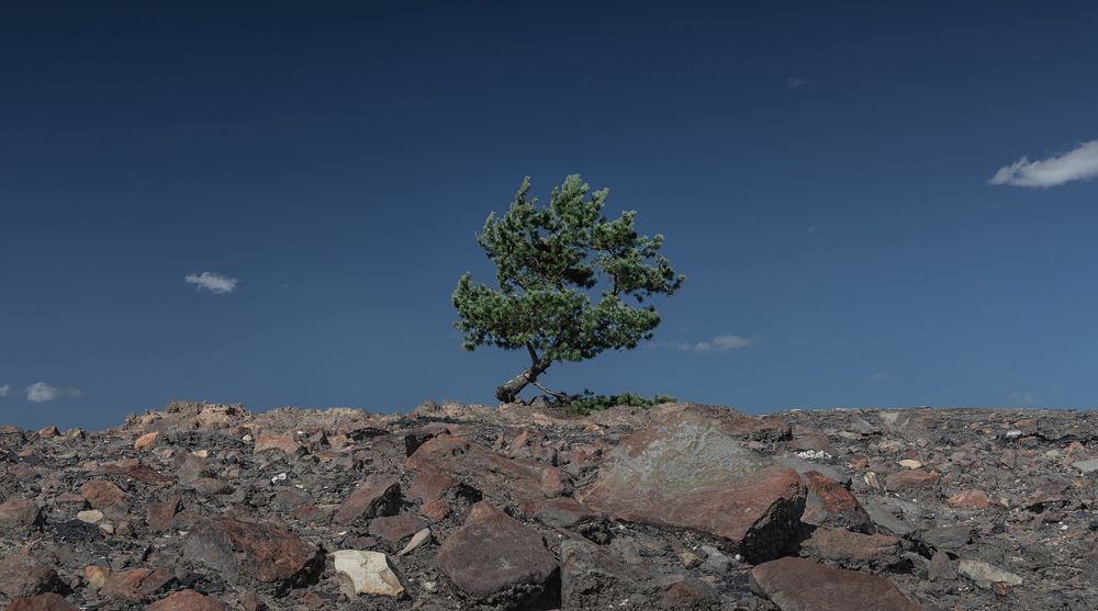 Photograph by Михаил Загрядский