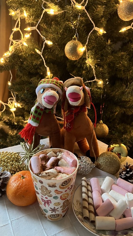 Фотография автора Irina Ginbert