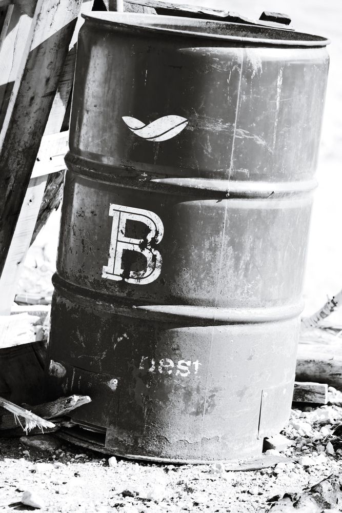 Photograph by Vladimir liametz