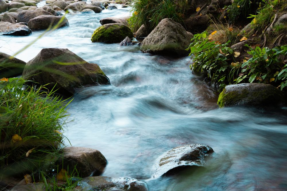 Photograph by Rice Baron