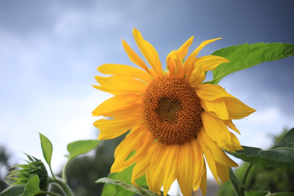 Photograph by Valeriy Bogushev