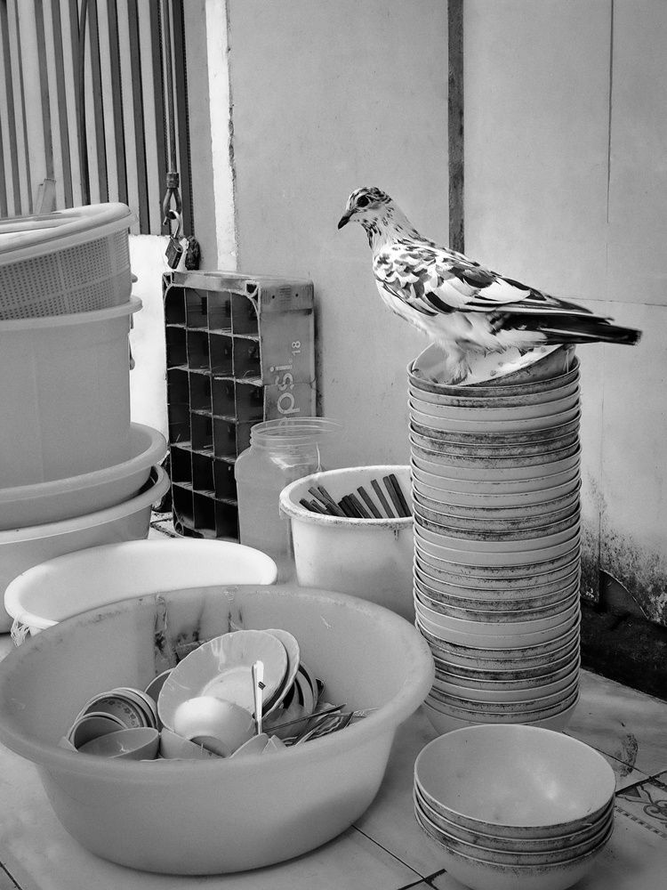 Фотография автора Michael Le