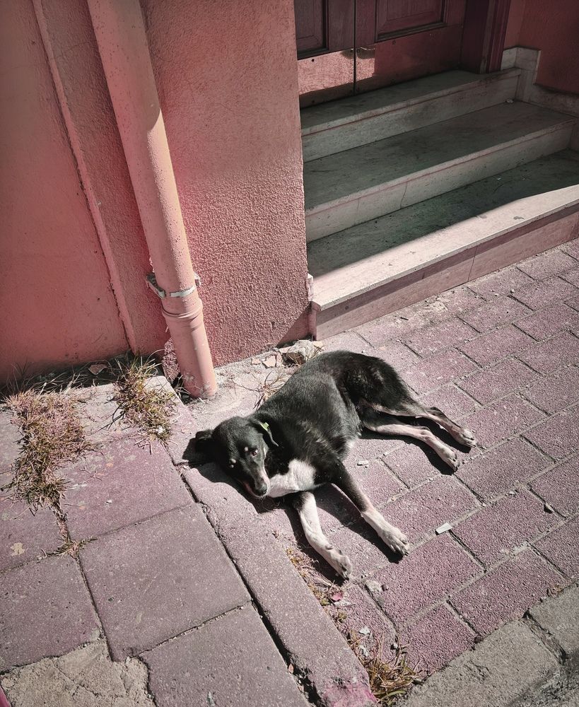A nap beneath the painted wall